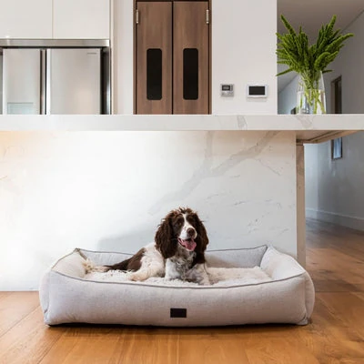 wicker dog bed comparison showing different materials and styles